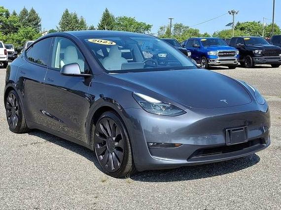 TESLA MODEL Y 2023 7SAYGDEF1PF829824 image